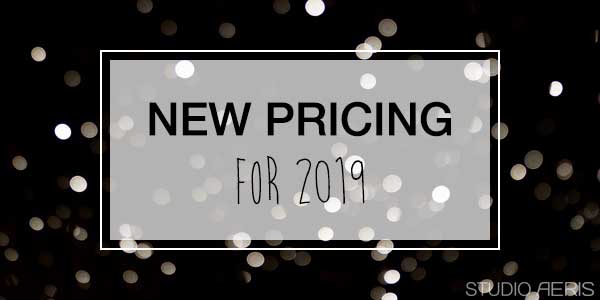 Nieuwe Prijzen paaldansen 2019